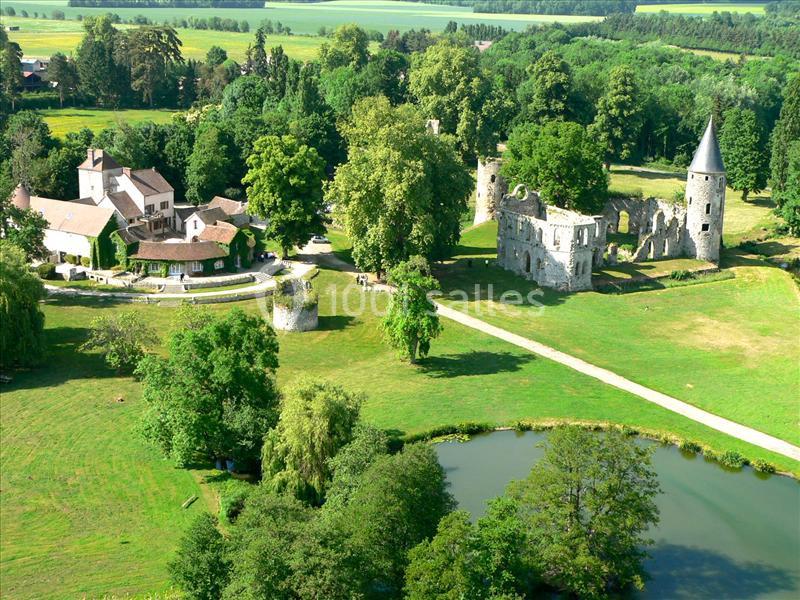 Vue aérienne d'un domaine avec un château en ruines, une église, des arbres et un étang entourés de verdure.