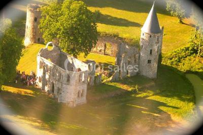 Château du Vivier - photo 4