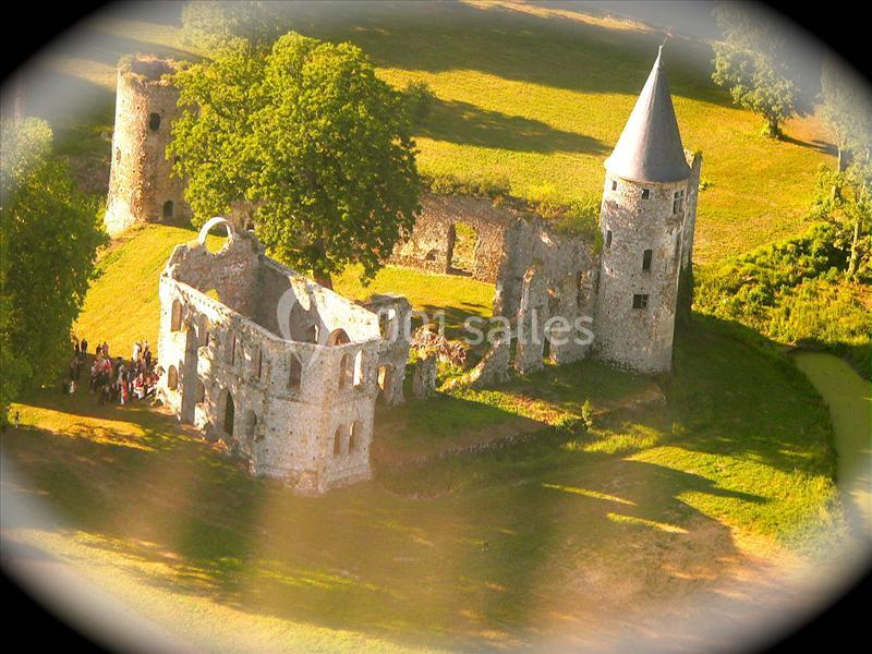 Vue aérienne d'un château en ruines entouré de verdure, avec des visiteurs rassemblés près des murs.