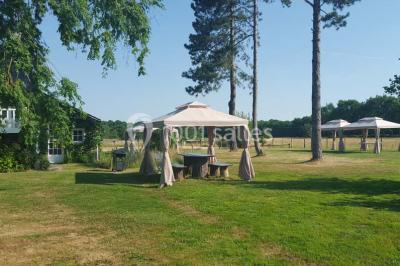 Domaine Des Basses Masures - photo 2