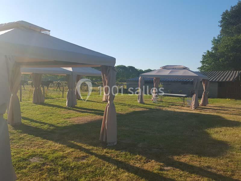Domaine Des Basses Masures - galerie - photo 3