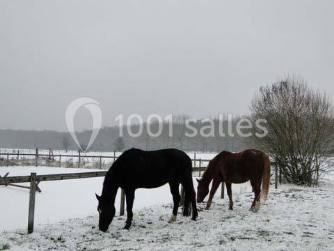 Domaine Des Basses Masures - galerie - photo 24