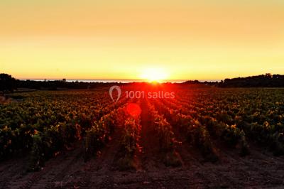 Miniature Location salle Argelès-sur-Mer (Pyrénées-Orientales) - Château Valmy - Vall Maria #23 Location salle Argelès-sur-Mer (Pyrénées-Orientales) - Château Valmy - Vall Maria #36