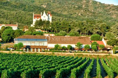 Miniature Location salle Argelès-sur-Mer (Pyrénées-Orientales) - Château Valmy - Vall Maria #8 Location salle Argelès-sur-Mer (Pyrénées-Orientales) - Château Valmy - Vall Maria #36