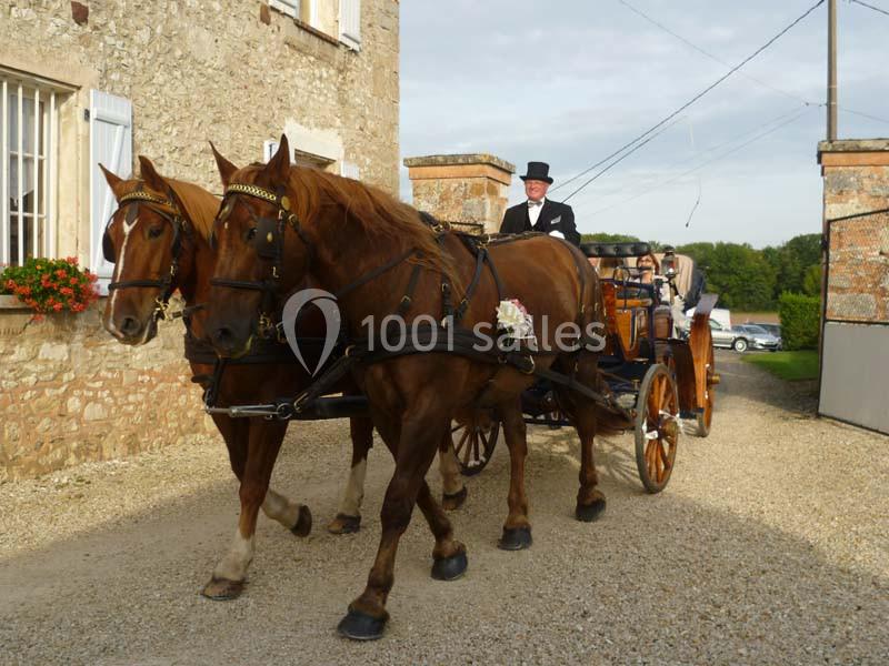 Attelage de deux chevaux tirant une calèche avec un cocher en tenue formelle, devant un bâtiment en pierre.