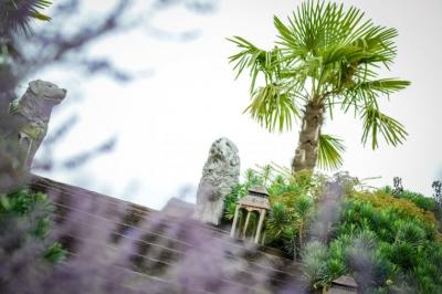 Un couple en tenue de mariage se tient la main dans un jardin baigné par une lumière douce au coucher du soleil.