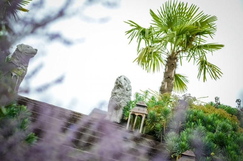 Deux statues de lions en pierre sur des marches entourées de végétation tropicale avec un palmier en arrière-plan.