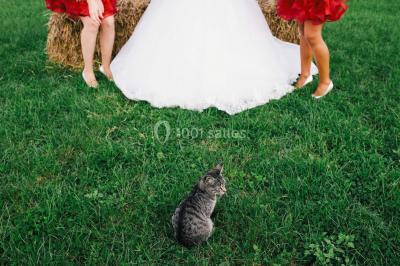 Un couple en tenue de mariage se tient la main dans un jardin baigné par une lumière douce au coucher du soleil.