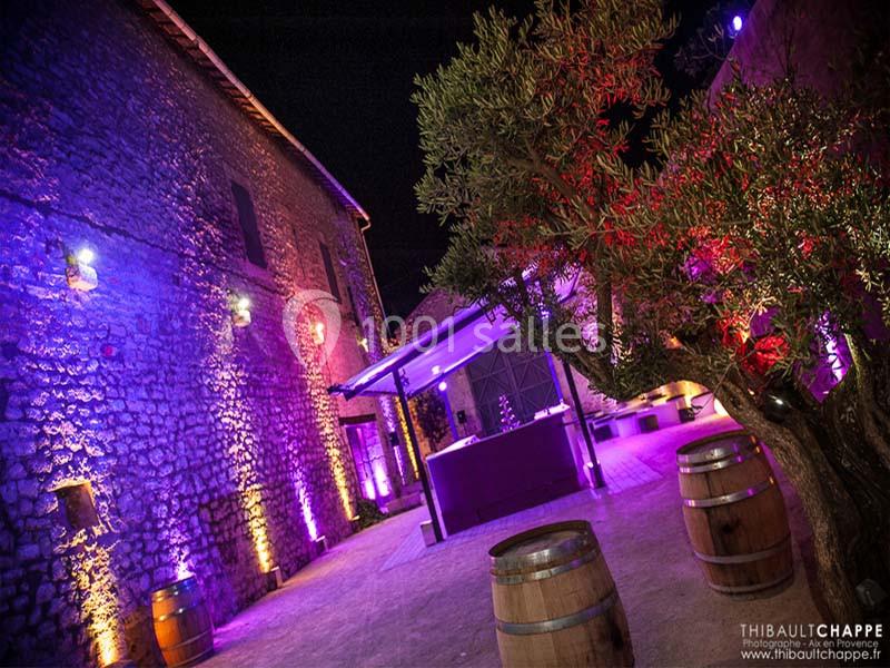 Location salle Beaucaire (Gard) - Les Beaux Chais #2