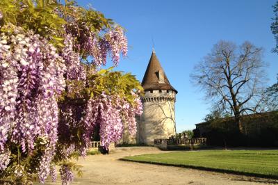 Château de Mouchac - photo 4