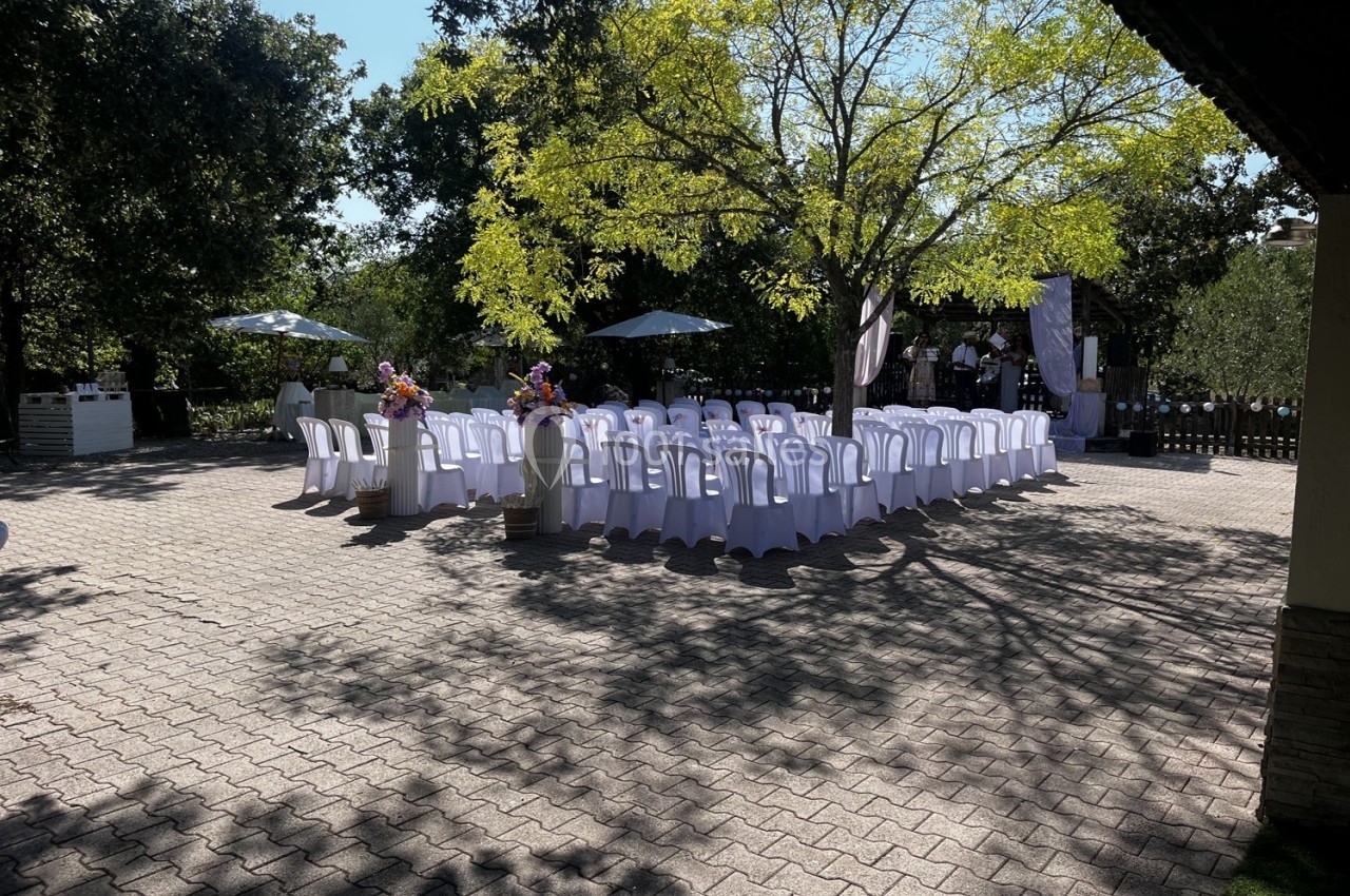 Chaises blanches disposées en rangées sous des arbres, avec des parasols et des décorations florales en extérieur.