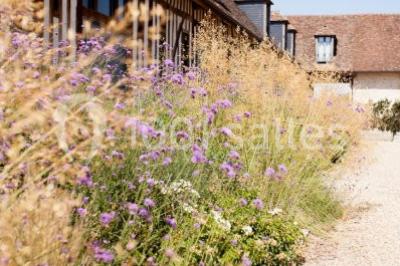 Domaine De Rebetz - photo 4