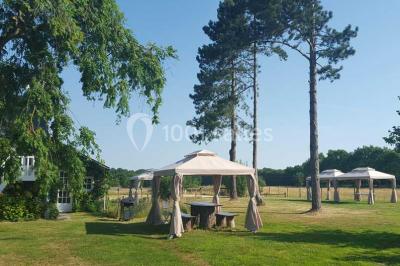 Domaine Des Basses Masures - photo 2
