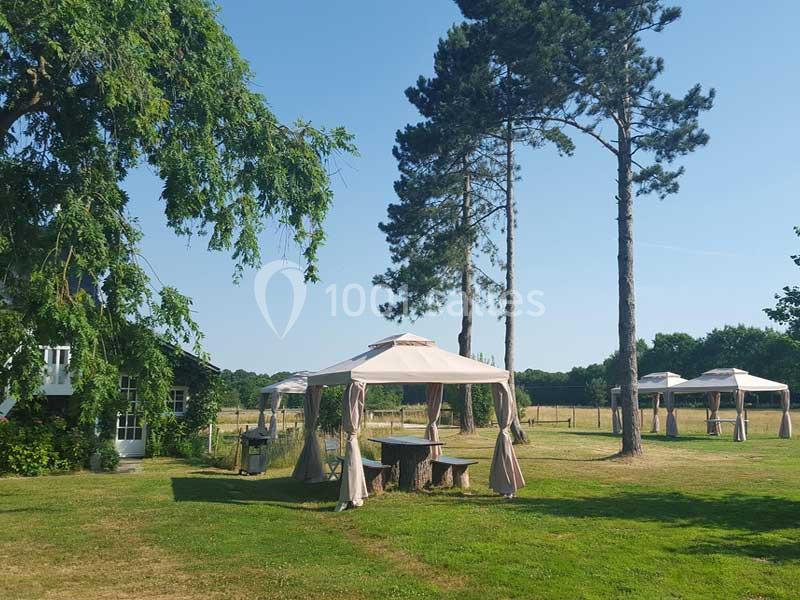 Domaine Des Basses Masures - galerie - photo 2
