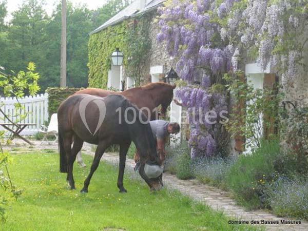 Domaine Des Basses Masures - galerie - photo 7