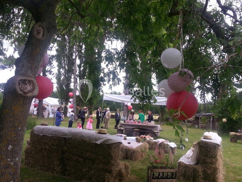 Domaine Des Basses Masures - galerie - photo 10