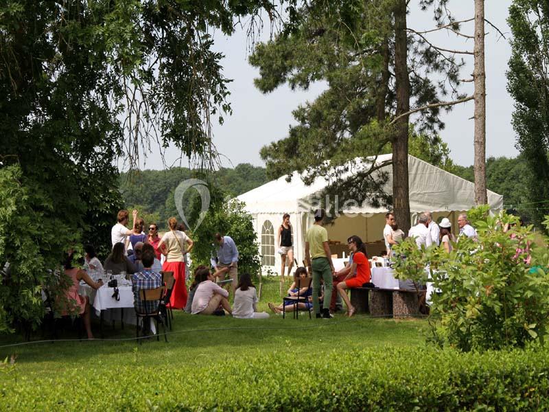 Domaine Des Basses Masures - galerie - photo 12
