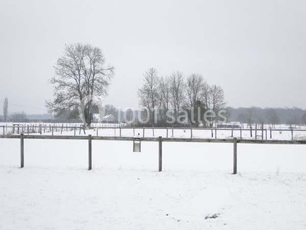 Domaine Des Basses Masures - galerie - photo 20