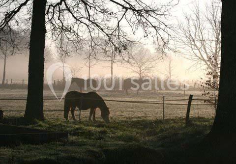 Domaine Des Basses Masures - galerie - photo 24