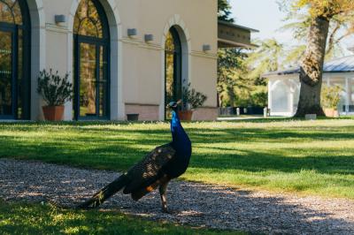 Miniature Location salle Cantenay-Épinard (Maine-et-Loire) - Domaine De Châtillon #3 Location salle Cantenay-Épinard (Maine-et-Loire) - Domaine De Châtillon #59