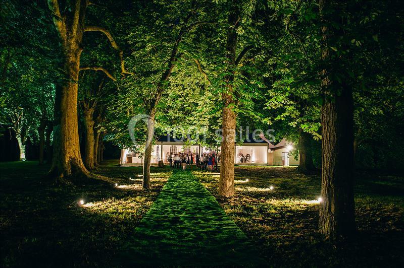 Allée éclairée traversant un parc boisé, menant à un bâtiment illuminé en arrière-plan.