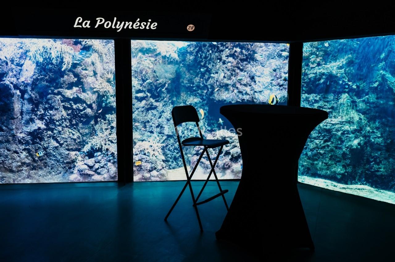 Location salle La Mulatière (Rhône) - Aquarium de Lyon #4 Aquarium avec coraux et poissons tropicaux en arrière-plan, chaise pliante et table haute au premier plan.