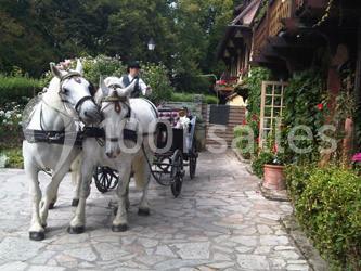 Moulin De Fourges - galerie - photo 9