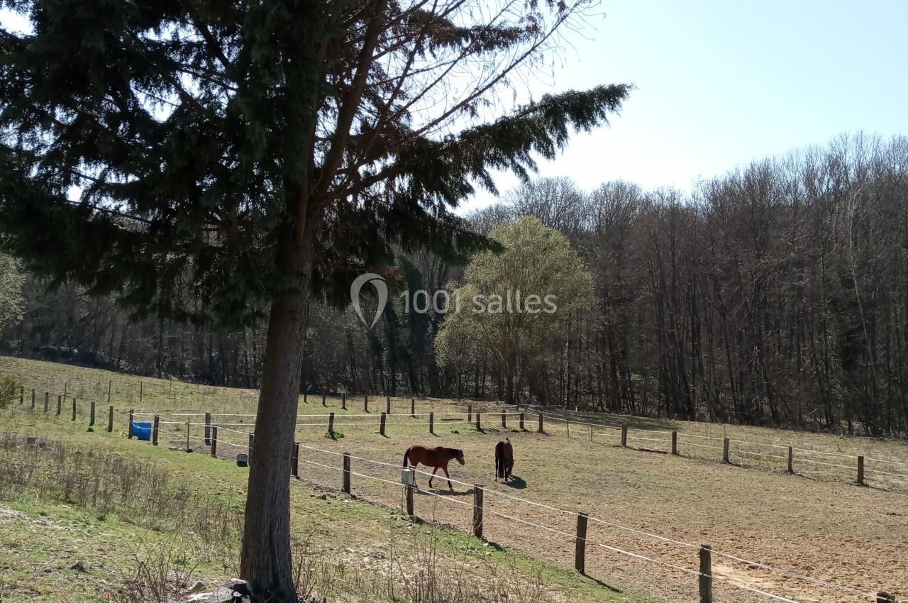 Chevaux broutant dans un pré clôturé, entouré d'arbres et d'une forêt en arrière-plan sous un ciel dégagé.