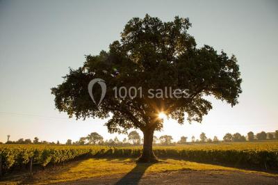 Jardin Cleray - photo 5