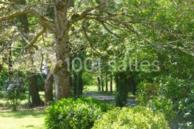 Jardin Cleray - photo 5