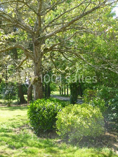 Jardin Cleray - galerie - photo 5