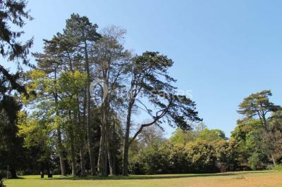 Domaine de Fours - photo 3