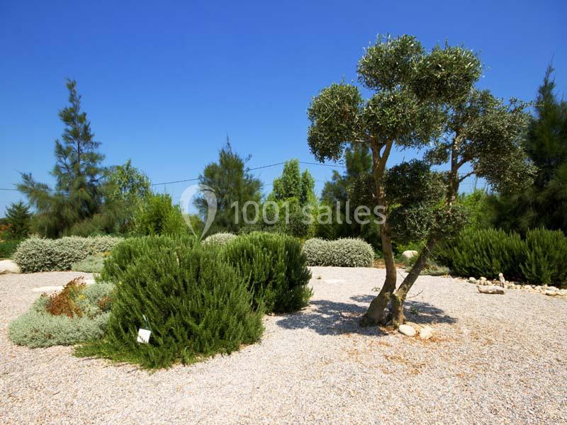 Le Jardin D'ariane - galerie - photo 1