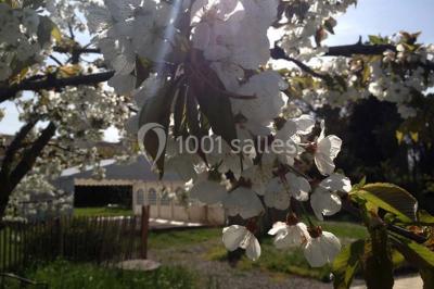 Miniature Location salle Carcassonne (Aude) - La Cave Des Anges #10 Location salle Carcassonne (Aude) - La Cave Des Anges #24