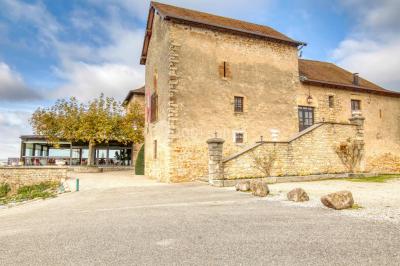 Miniature Location salle Frontonas (Isère) - Château de Saint Julien #2 Gâteau rectangulaire décoré de fruits rouges, de crème et de bougies indiquant le chiffre 60, posé sur un plateau argenté.
