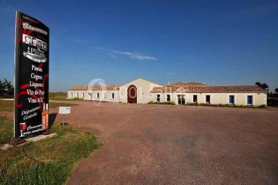 Miniature Location salle La Brée-les-Bains (Charente-Maritime) - Ile d'Oléron Vignoble Pinard Maxime #7 Salle de distillation avec alambics en cuivre, équipements en acier inoxydable et sol carrelé clair.