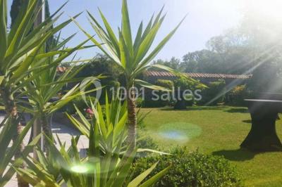 Miniature Location salle Belœil (Hainaut) - La Grange Aux Artistes #24 Jardin ensoleillé avec des palmiers au premier plan, pelouse verte et tables hautes recouvertes de nappes noires en arrière…