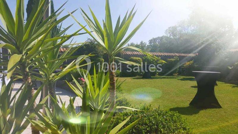 Jardin ensoleillé avec des palmiers au premier plan, pelouse verte et tables hautes recouvertes de nappes noires en arrière…