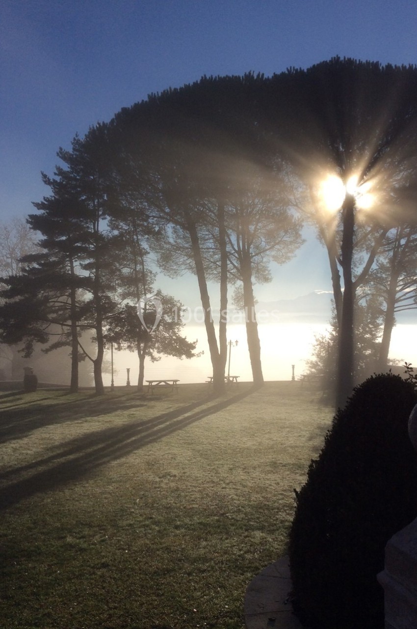 Lever de soleil perçant à travers des arbres dans un parc, avec une légère brume et des ombres allongées au sol.