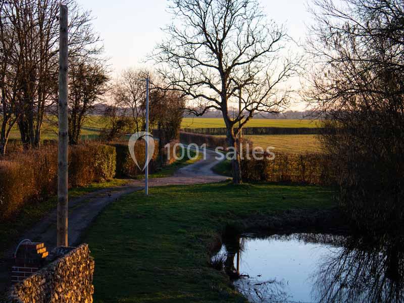Chemin sinueux bordé d'arbres et de haies, menant à travers une campagne au coucher du soleil, avec un étang au premier plan.