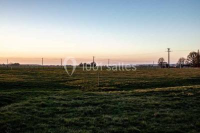 Miniature Location salle Menus (Orne) - Gîte de La Bretillière #14 Chemin de campagne bordé de poteaux électriques et clôtures, traversant un paysage rural sous un ciel sombre.