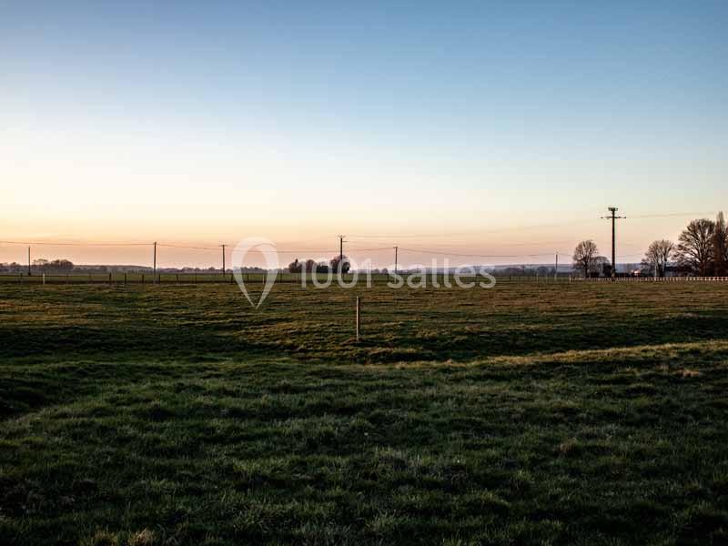 Champ herbeux au coucher du soleil avec des poteaux électriques et des arbres à l'horizon.