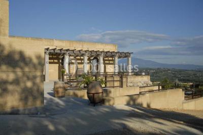 Domaine Viret - photo 1
