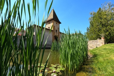 Domaine de Marzé - photo 2