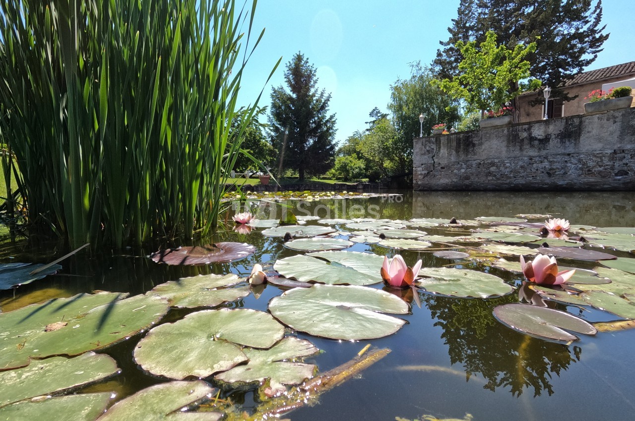 Étang avec des nénuphars en fleurs, bordé de roseaux et d'arbres, près d'un bâtiment en pierre sous un ciel dégagé.