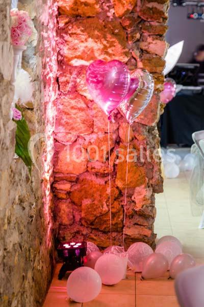 Location salle Moissy-Cramayel (Seine-et-Marne) - Domaine d'Arvigny #6