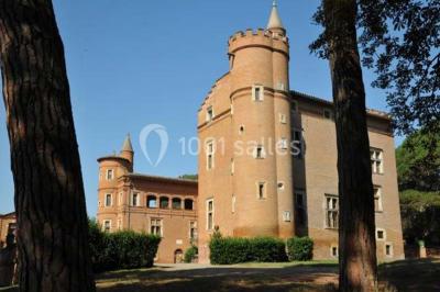 Château De Pibrac - photo 3