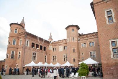 Château De Pibrac - photo 2