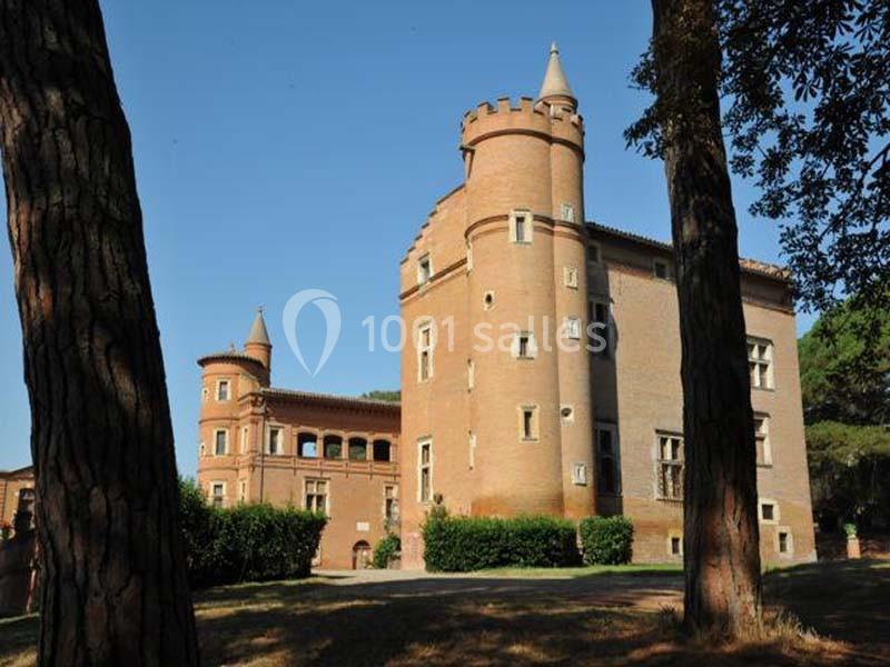 Château De Pibrac - galerie - photo 8
