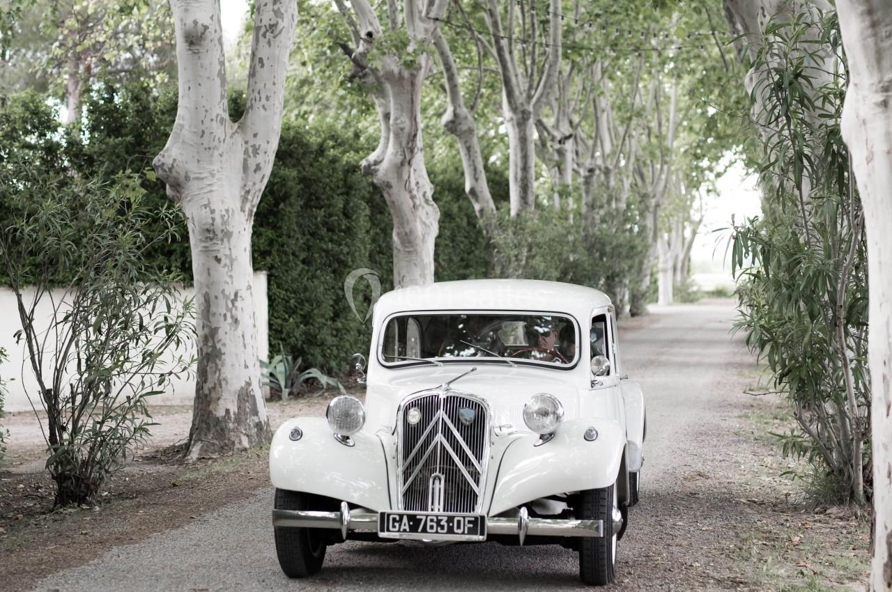 Domaine Du Petit Malherbes - galerie - photo 2